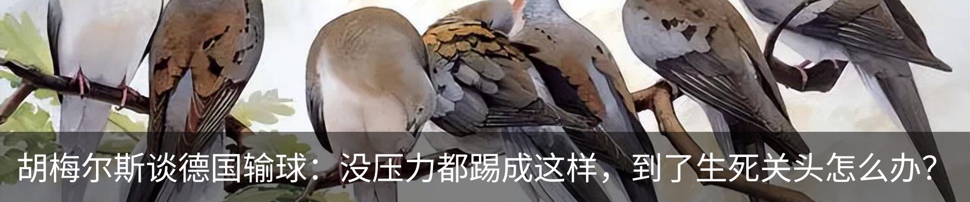 内页banner
